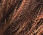 Cinnamonbrown mix