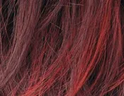 Flame rooted