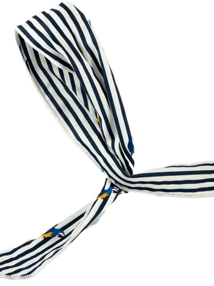 Fascia fantasia