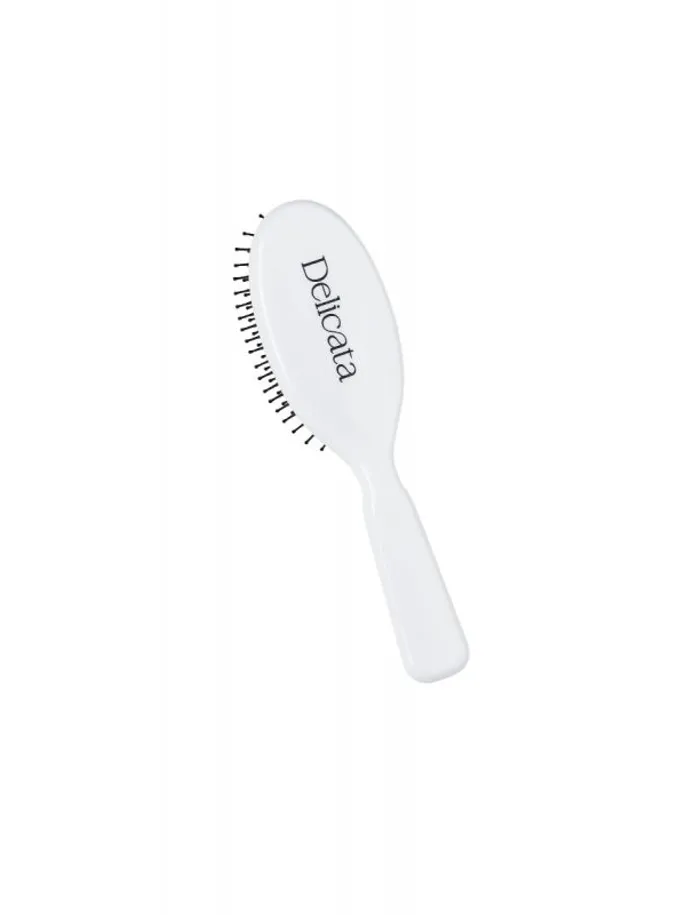 Spazzola Delicata HK 1/1
